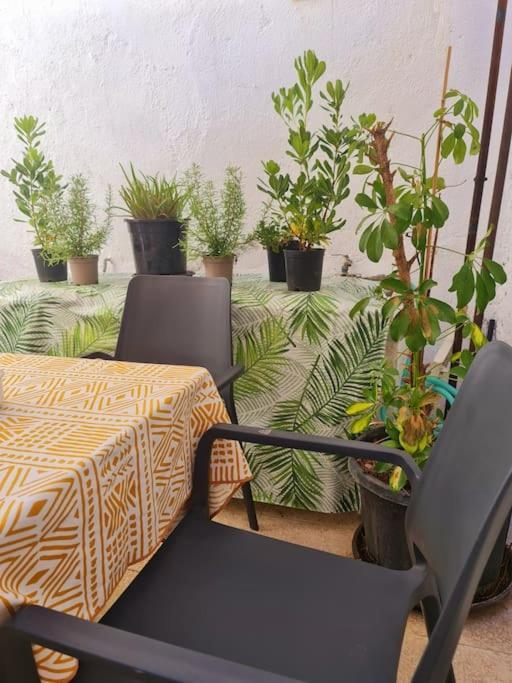 Estancia De Ensueno Y Relax Parking Gratuito Granada Exteriör bild