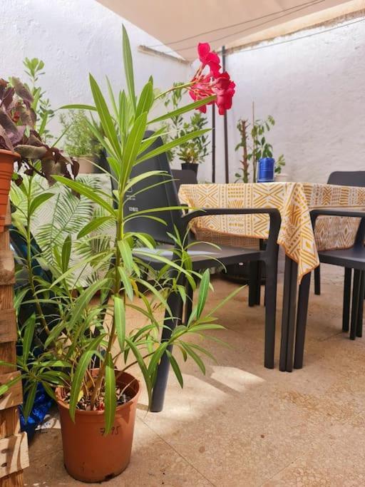 Estancia De Ensueno Y Relax Parking Gratuito Granada Exteriör bild